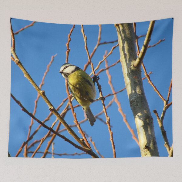 Item preview, Bluetit designed and sold by WildandDivine.