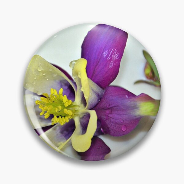 Item preview, Aquilegia designed and sold by dbrDurham.