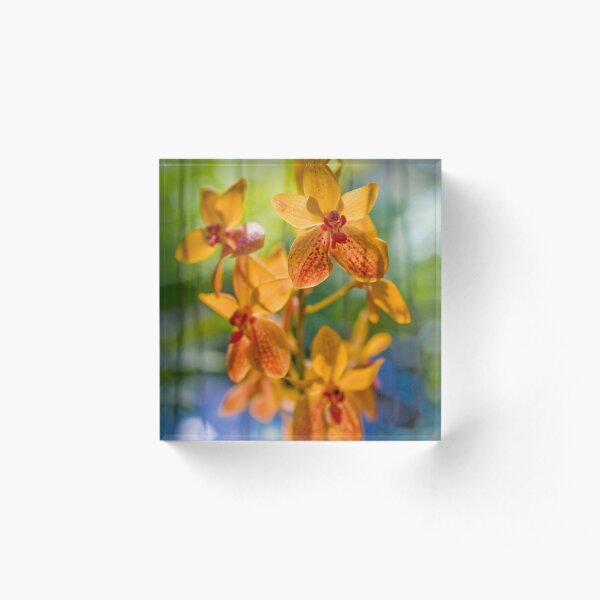 Orchidees flottantes Acrylic Block