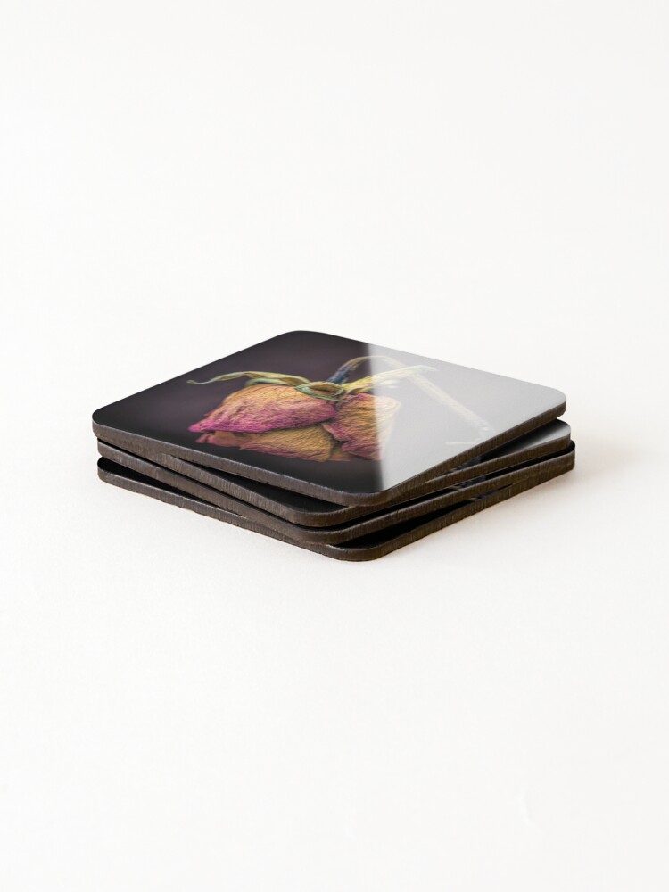 Thumbnail 4 of 5, Coasters (Set of 4), Bloom designed and sold by RJDowns.