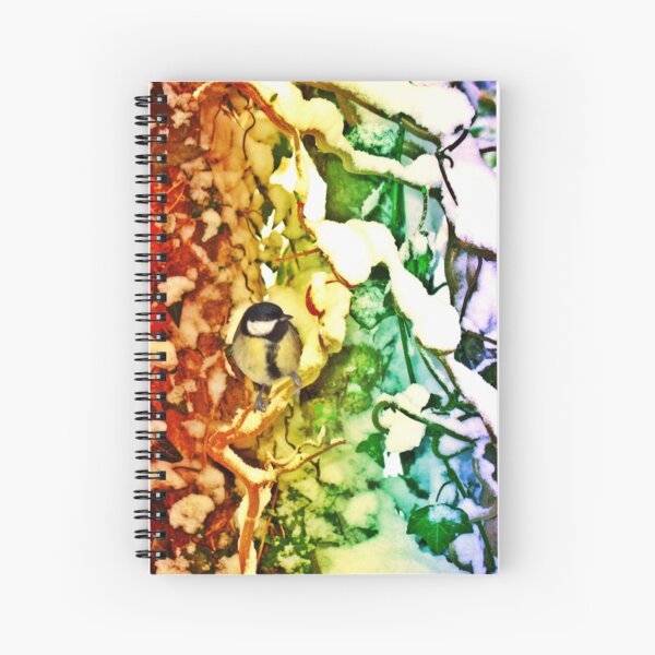 Spiral Notebook