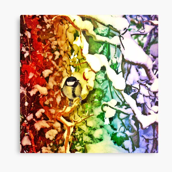 Metal Print
