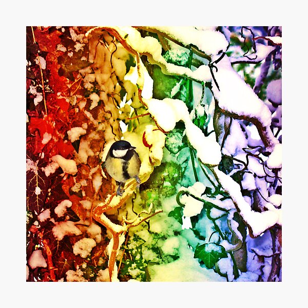 Photographic Print