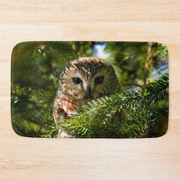 Item preview, Northern Saw Whet Owl - Amherst Island, Ontario, Canada designed and sold by Michael Cummings.