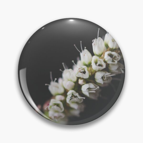 Item preview, Alpine Bistort designed and sold by Gbenonys Art.