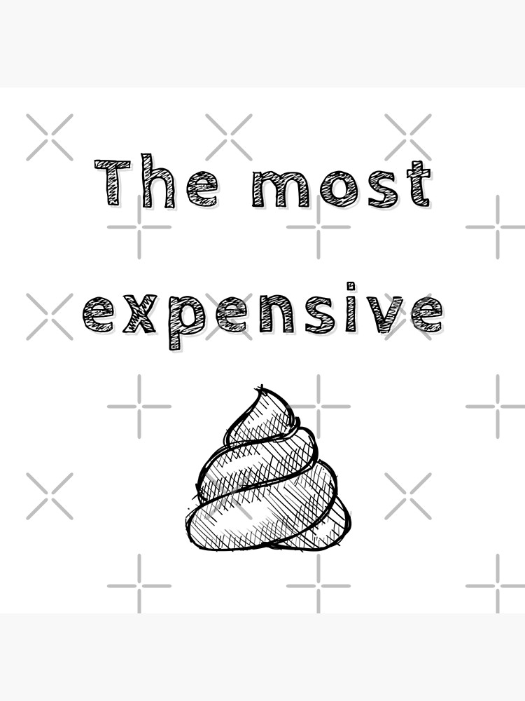 "The most expensive poop" Poster for Sale by PluviophileSoul Redbubble