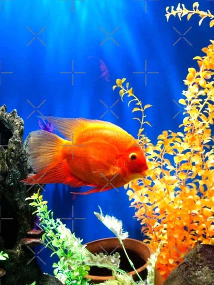 Fish tank aquarium Poster for Sale by mwagie