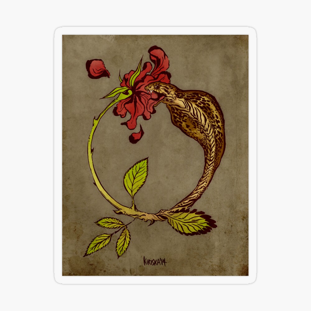 tst,small,845x845-pad,