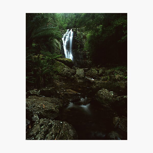 Item preview, "Mathinna Falls" ∞ Mathinna, Tasmania - Australia designed and sold by Jason Asher.