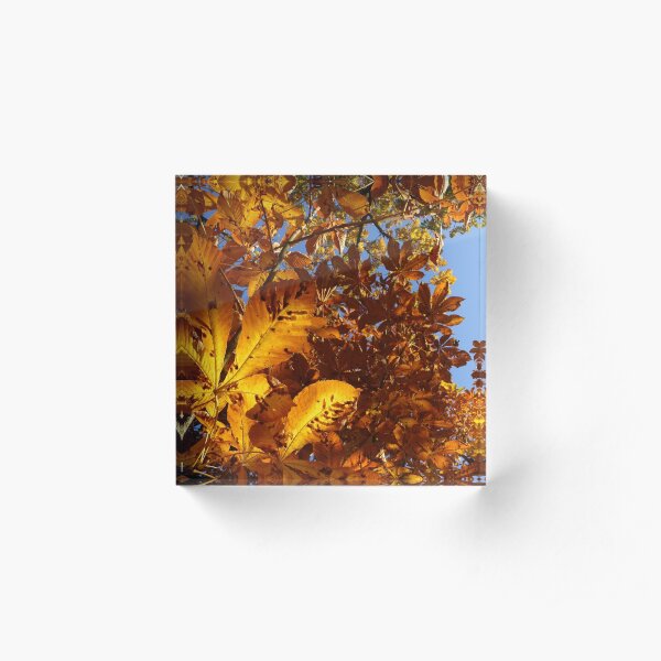 Acrylic Block
