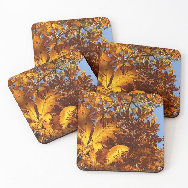 Coasters