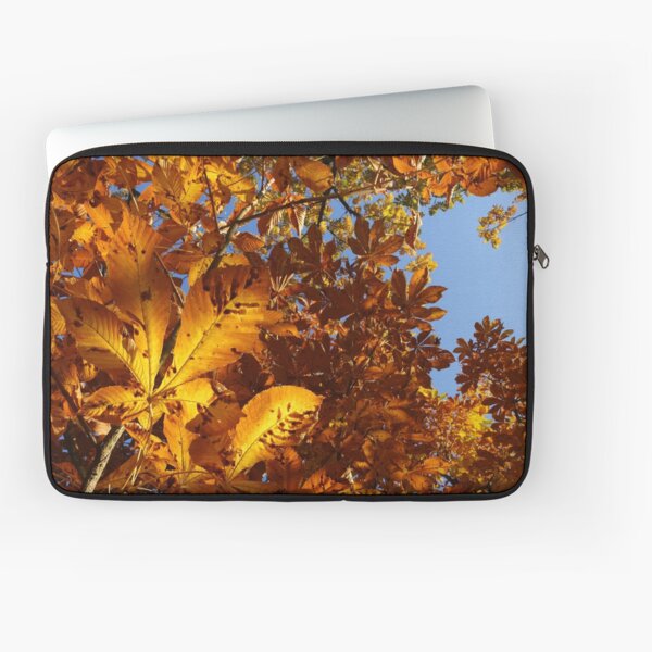 Laptop Sleeve