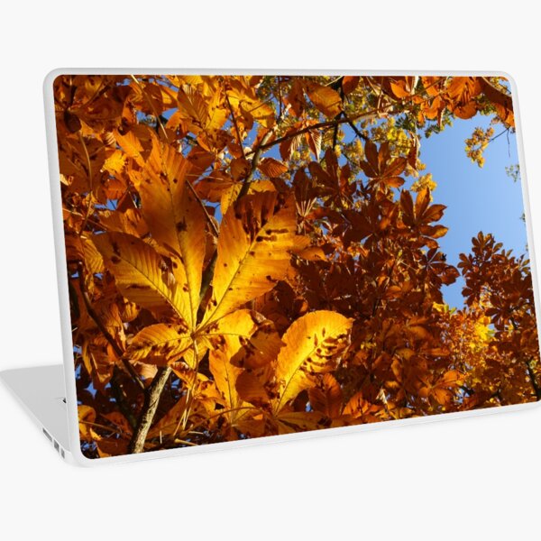 Macbook Air 13" (2015)