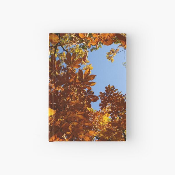 Hardcover Journal