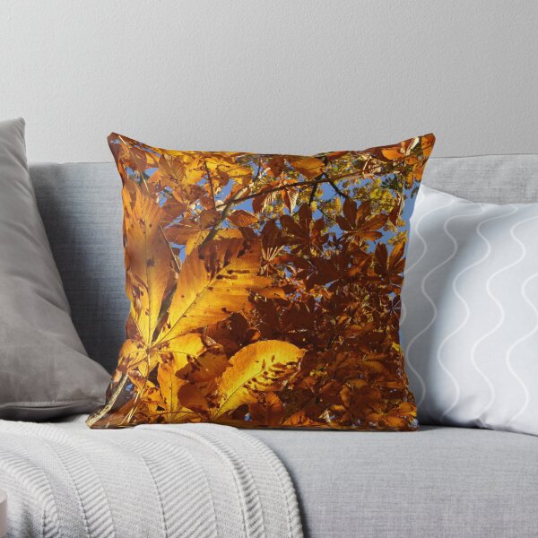 Throw Pillow