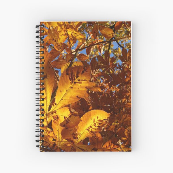 Spiral Notebook