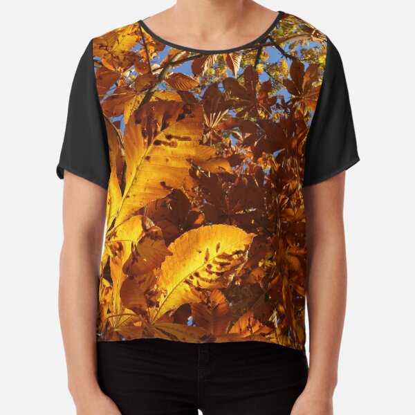Chiffon Top