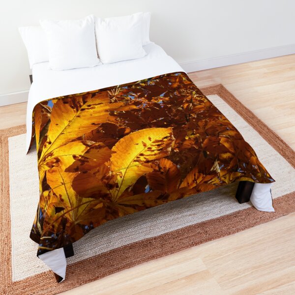 Comforter