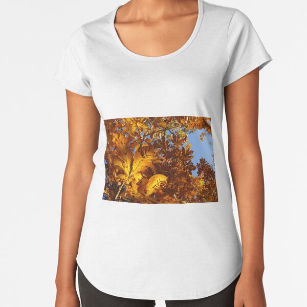 Premium Scoop T-Shirt