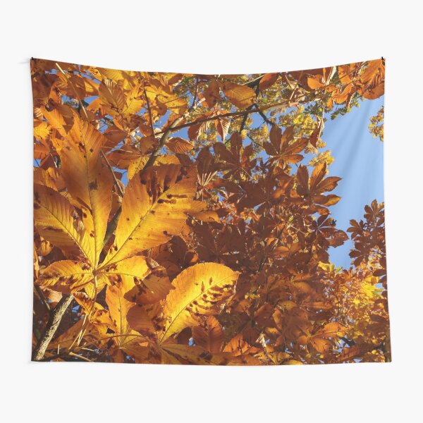 Tapestry