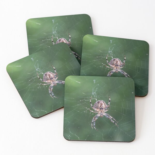 Item preview, Cross Spider Macro 2 - Cute Spiders Gifts designed and sold by r-silver.