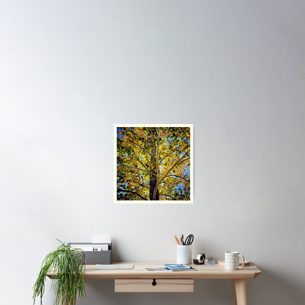 Item preview, Poster designed and sold by colgdrew.