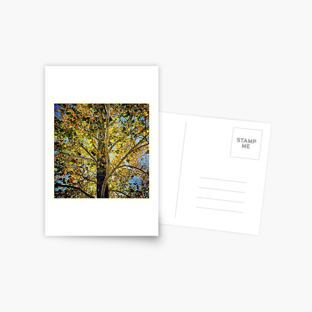 Item preview, Postcard designed and sold by colgdrew.