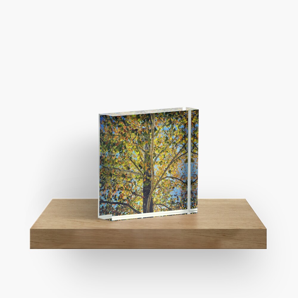 Item preview, Acrylic Block designed and sold by colgdrew.