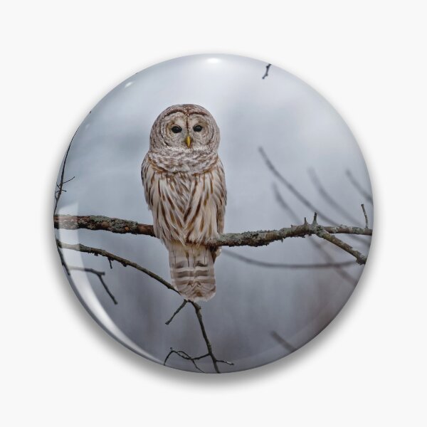 Item preview, Barred Owl  designed and sold by Michael Cummings.