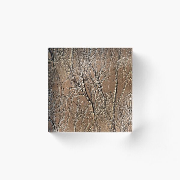 Bare Tree Branches Nature Art Design Acrylic Block