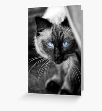 Ol Blue Eyes Greeting Card