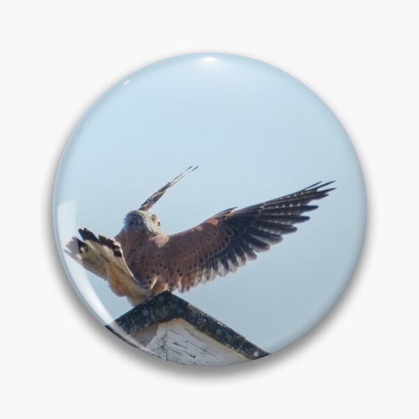 Item preview, Oh hello my love. Common kestrel designed and sold by Jouko Lehto Photography.