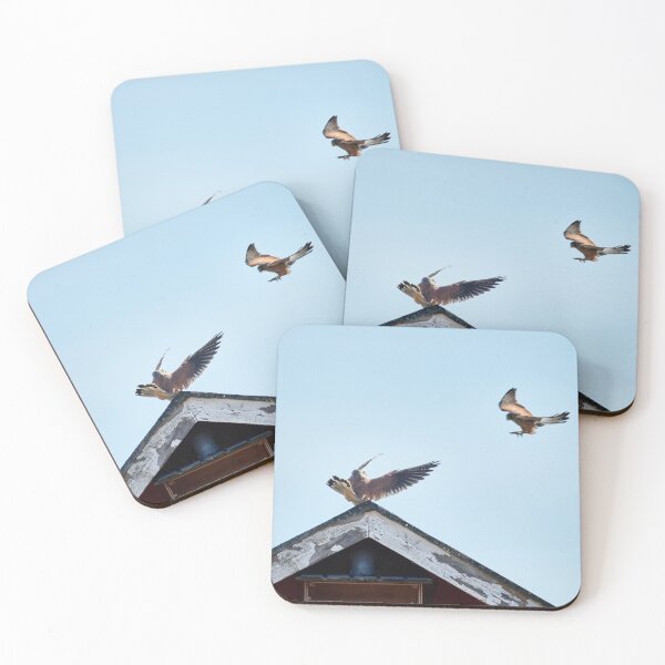 Item preview, Oh hello my love. Common kestrel designed and sold by Jouko Lehto Photography.