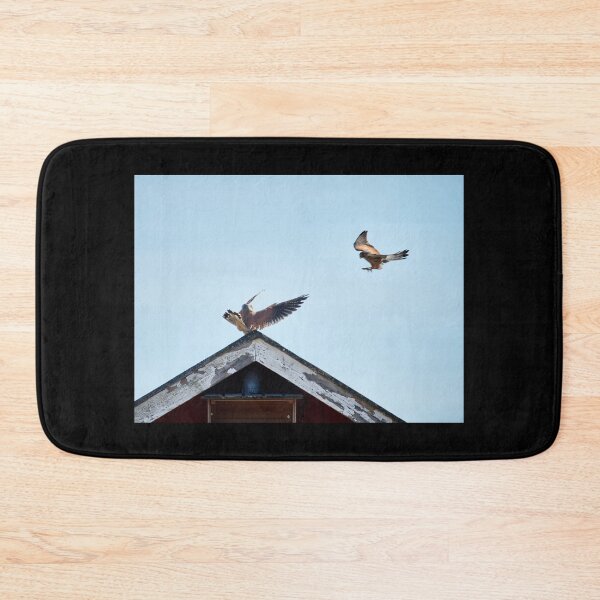 Item preview, Oh hello my love. Common kestrel designed and sold by Jouko Lehto Photography.
