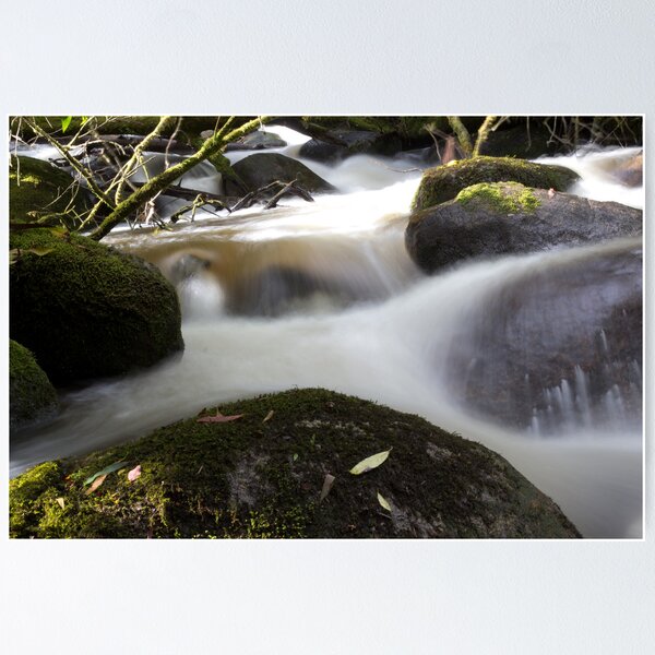 Item preview, Toorongo River  designed and sold by peter stagg.