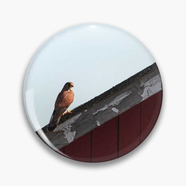 Item preview, Diagonal style. Common kestrel designed and sold by Jouko Lehto Photography.