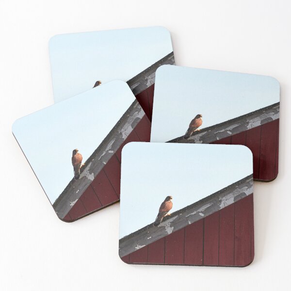 Item preview, Diagonal style. Common kestrel designed and sold by Jouko Lehto Photography.
