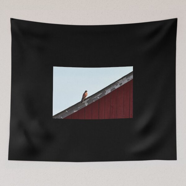 Item preview, Diagonal style. Common kestrel designed and sold by Jouko Lehto Photography.