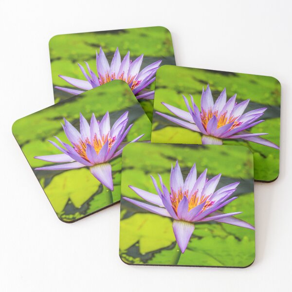 Item preview, A glorious Lotus Blossom designed and sold by Gary Osborne.