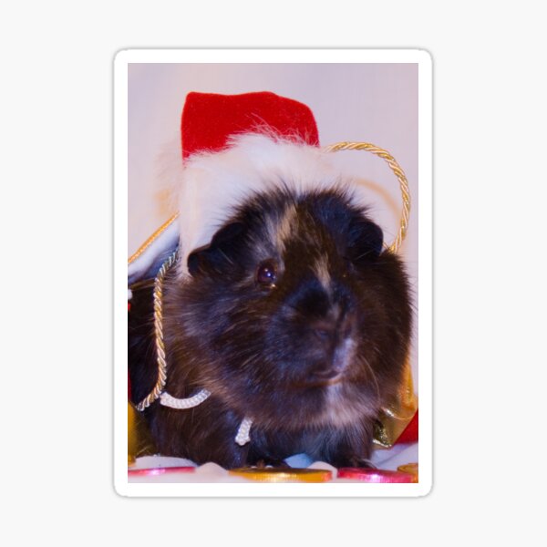 Priscilla wishes everyone a merry christmas Sticker