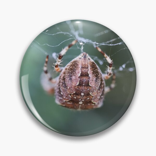 Item preview, Cross Spider Macro 4 - Cute Spiders Gifts designed and sold by r-silver.