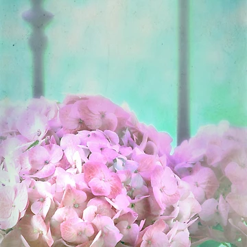 Artwork thumbnail, Hydrangea by Artskratch