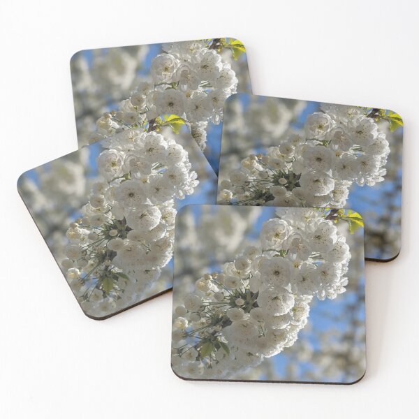 Item preview, White blossom  designed and sold by lauragatesphoto.