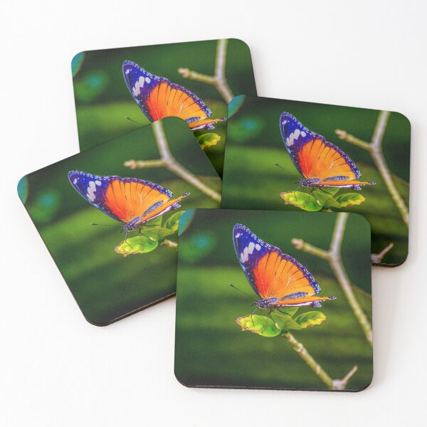 Item preview, Natural beauty of a butterfly designed and sold by Gary Osborne.