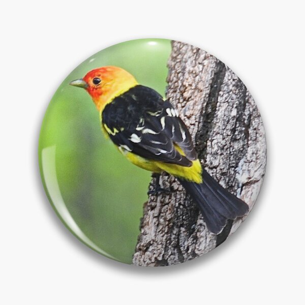 Item preview, Western Tanager designed and sold by 2CrabbySisters.