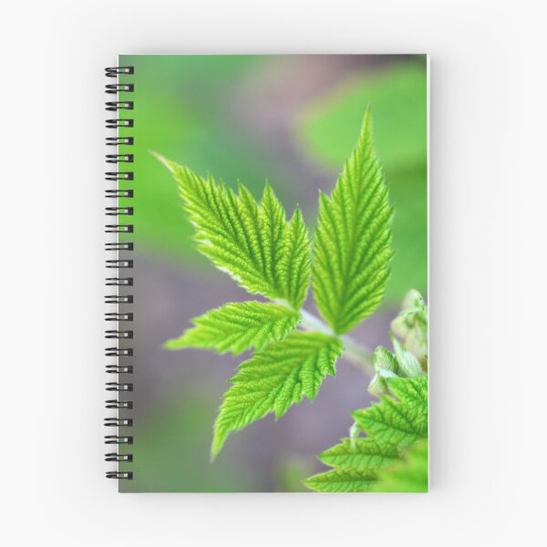 Item preview, raspberry green leaf designed and sold by tony4urban.