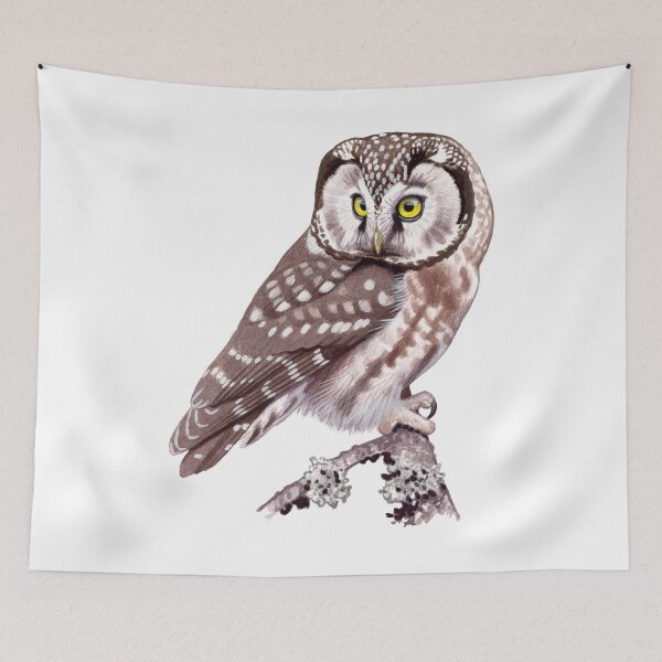 Item preview, Tengmalm's Owl designed and sold by kokayart.