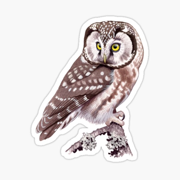 Item preview, Tengmalm's Owl designed and sold by kokayart.