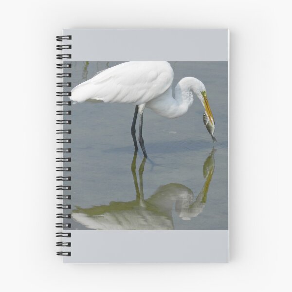 Item preview, Great White Egret Catching a fish with reflection in the water designed and sold by 2CrabbySisters.