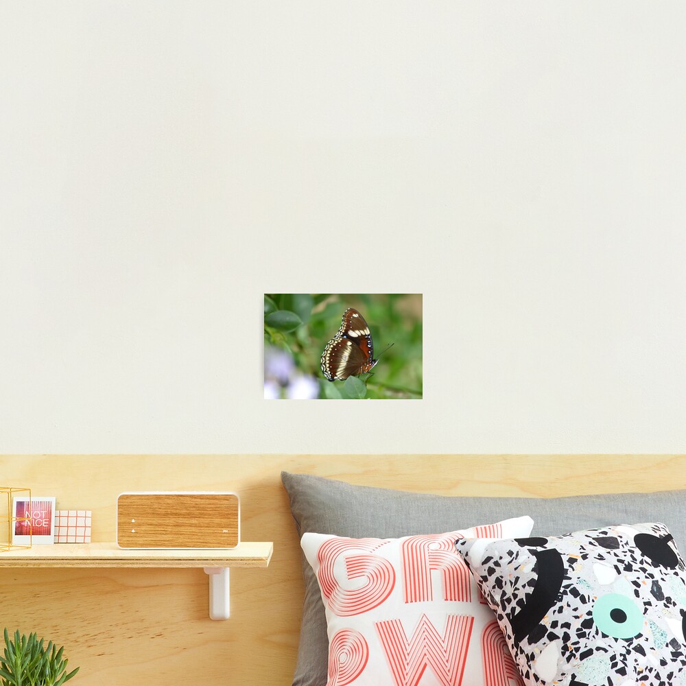 Item preview, Photographic Print designed and sold by TheaShutterbug.